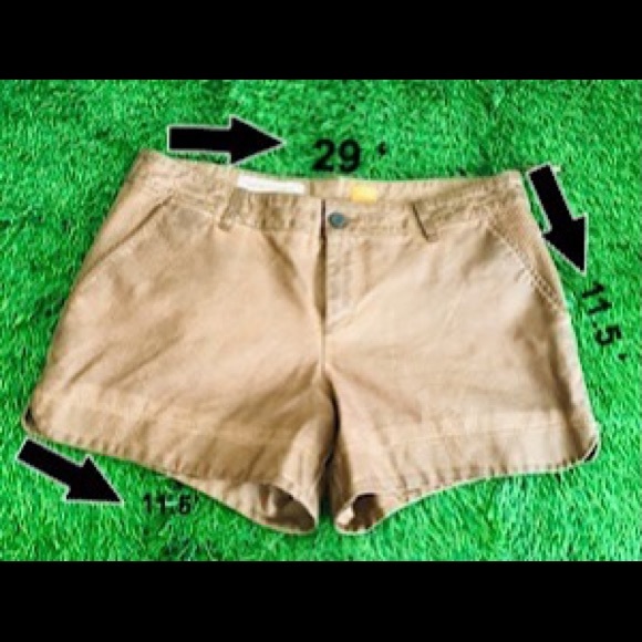 Brown leather shorts - Picture 4 of 4